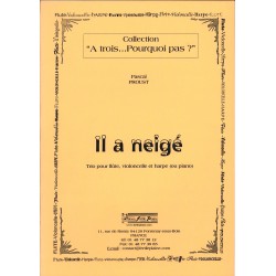 Pascal Proust, Il a neigé